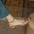 Aprikos